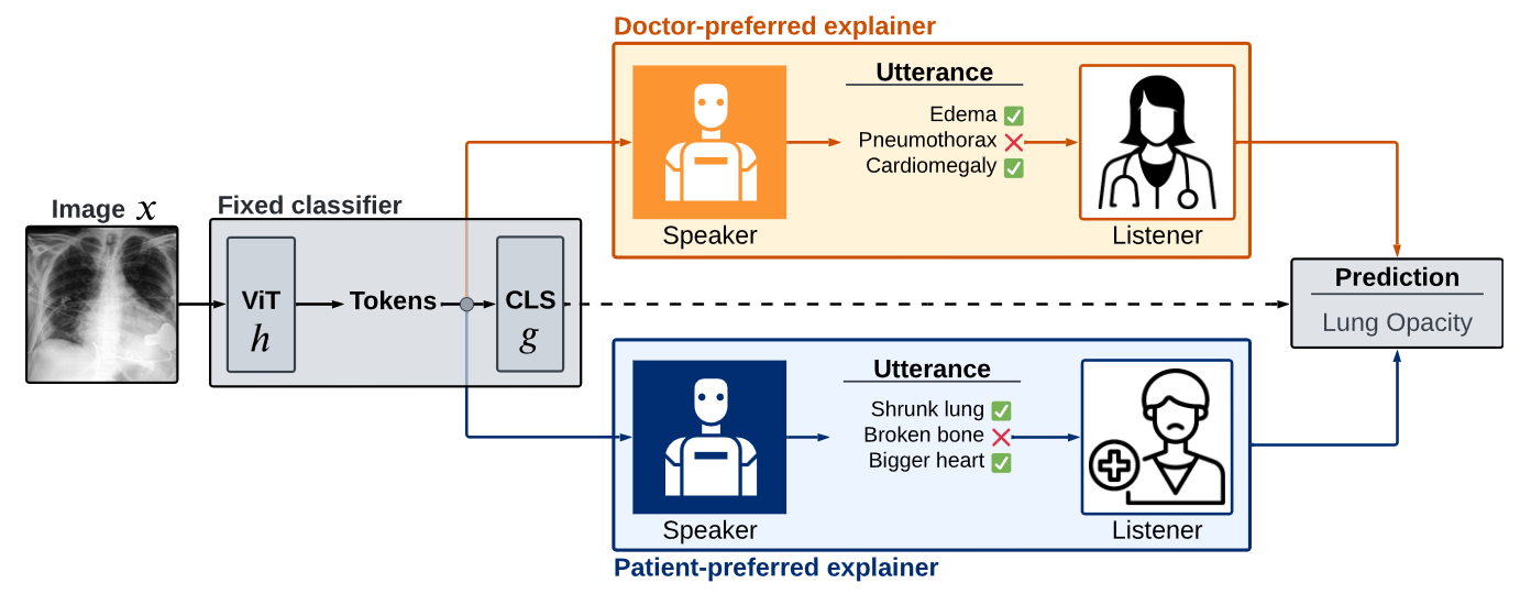 Adaptive Explanations via Direct Preference Optimization
